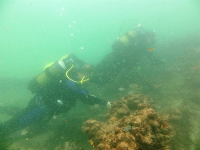 Divers clean up Paquita wreck